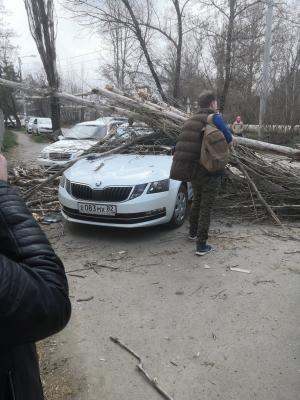 Прикрепленное изображение: ofk7uawty8y_5c9661aab9906.jpg